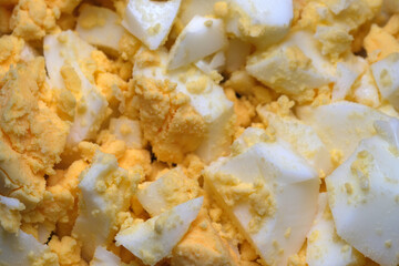 Delightful egg salad bursts with creamy textures