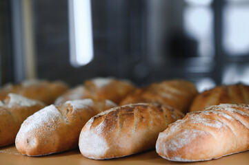 Freshly baked bread on bakery shelves. Bread diversity in bright light. Breads with a golden crust on wooden shelves