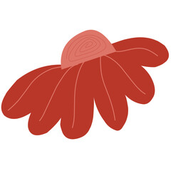 red flower isolated on white background