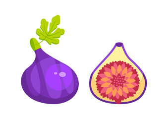 Whole and cut fig fruit with leaf isolated on white background