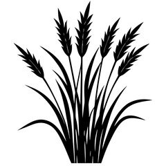 Grass Plant vector silhouette illustration isolated on white background