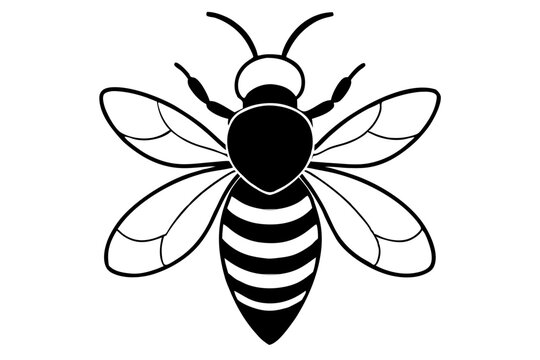black and white bee outline clip art preview
