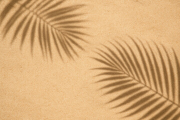 Tropical Palm Leaf Shadows: Abstract composition of palm leaves shadows on a sandy textured surface, creating a serene and visually captivating tropical ambiance.
