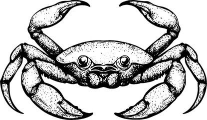 Vintage Illustration of a Crab