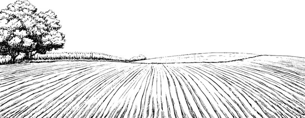 A black and white illustration of a vast field with plowed rows, featuring a few trees in the background and rolling hills in the distance.