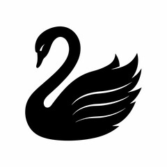 Black Swan Silhouette with black and white 