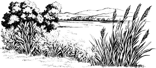Serene Landscape Illustration with Water and Mountains
