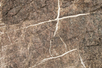 Closeup of grey seaside rock surface with white veins