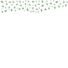 Fallen Leaves Shape Modern