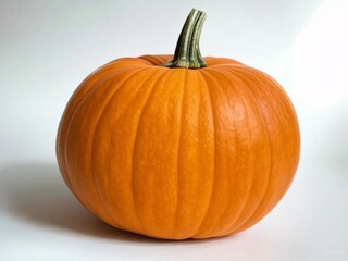 Pumpkin on white background