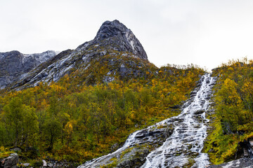Autumn landscape of Senja Island in Northern Norway with colorful foliage, mountains, and a serene fjord.