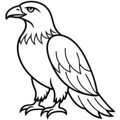 Obraz premium Bold Eagle Line Drawing Illustration