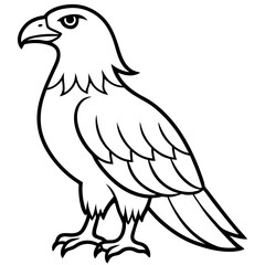 Fototapeta premium Bold Eagle Line Drawing Illustration