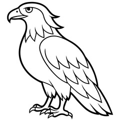 Bold Eagle Line Drawing Illustration