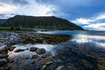 Autumn landscape in Lofoten Islands, Northern Norway, featuring colorful foliage, and a peaceful fjord.