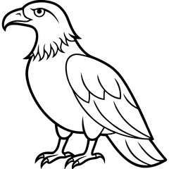 Fototapeta premium Bold Eagle Line Drawing Illustration