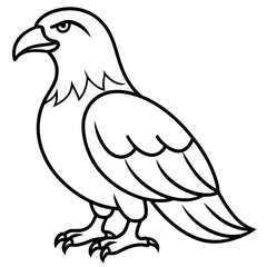 Bold Eagle Line Drawing Illustration