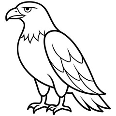 Bold Eagle Line Drawing Illustration