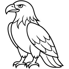 Bold Eagle Line Drawing Illustration