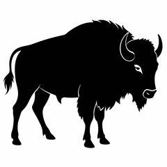 Buffalo Silhouette Vector File