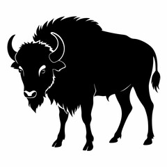 Buffalo Silhouette Vector File