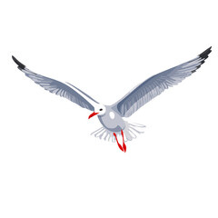 Obraz premium flying seagull bird vector graphic design 