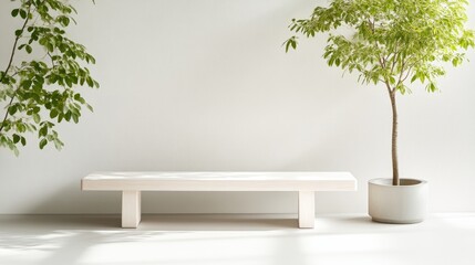 Obraz premium Modern bench with plants