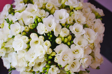 Obraz premium Elegant white flowers arranged beautifully for a special occasion