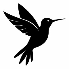 Clean Hummingbird Silhouette Illustration