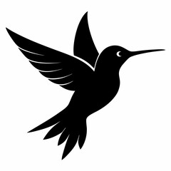 Clean Hummingbird Silhouette Illustration