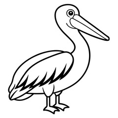 Clean Pelican Outline Artwork