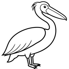 Clean Pelican Outline Artwork