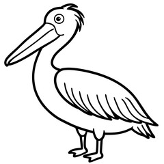 Clean Pelican Outline Artwork