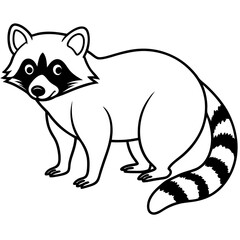 Elegant Raccoon Line Drawing