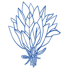 Hand-drawn eatable herbs bouquete illustration in blue color. Part of big Mediterranean collection. Perfect for wedding, product, party, event design