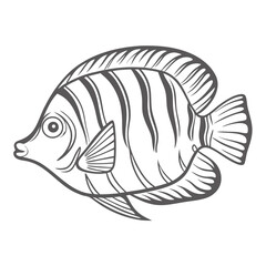 Regal Angelfish Line Art Illustration