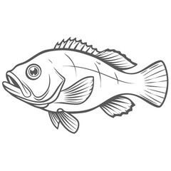 Canary Rockfish Line Art Illustration