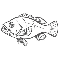 Canary Rockfish Line Art Illustration Vector