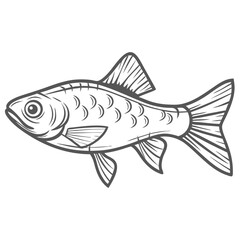 Snakeskin Barb Fish Line Art Illustration