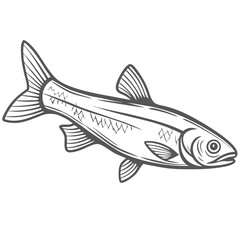 Rainbow Smelt Fish Line Art Illustration