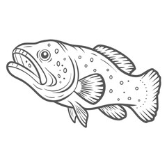 Atlantic Wolffish Line Art Illustration