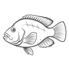 Tripletail Fish Line Art Illustration Vector