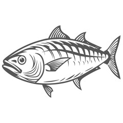 Atlantic Bonito Fish Line Art Illustration