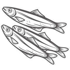 Capelin Fish Outline Illustration, Mallotus Villosus