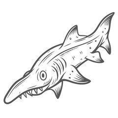Goblin Shark Illustration, Mitsukurina Owstoni