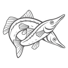 Wrestling Halfbeak Fish Line Art Illustration