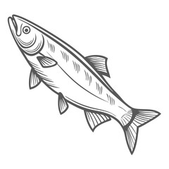 Pacific Herring Line Art Illustration