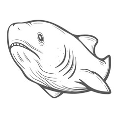 Megamouth Shark Illustration, Megachasma Pelagios