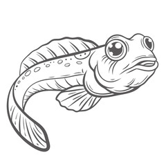 Mudskipper Line Art Illustration, Periophthalmus Spp.