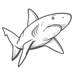 Oceanic Whitetip Shark Line Art Illustration